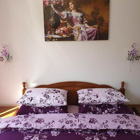 锡纳亚Sophie Apartament公寓 外观 照片