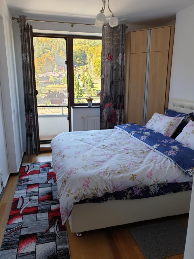 锡纳亚Sophie Apartament公寓 外观 照片