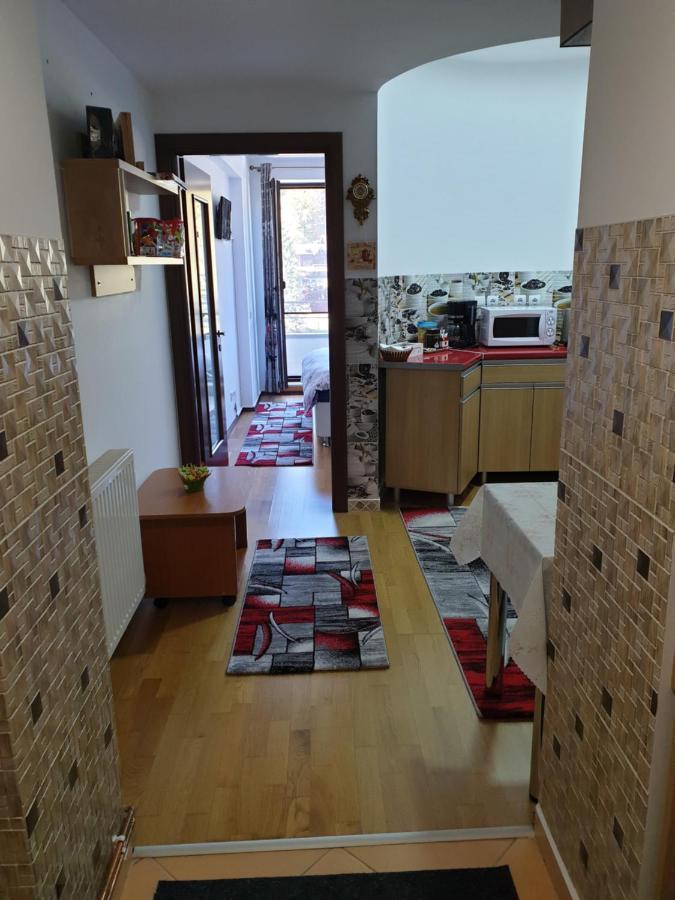 锡纳亚Sophie Apartament公寓 外观 照片