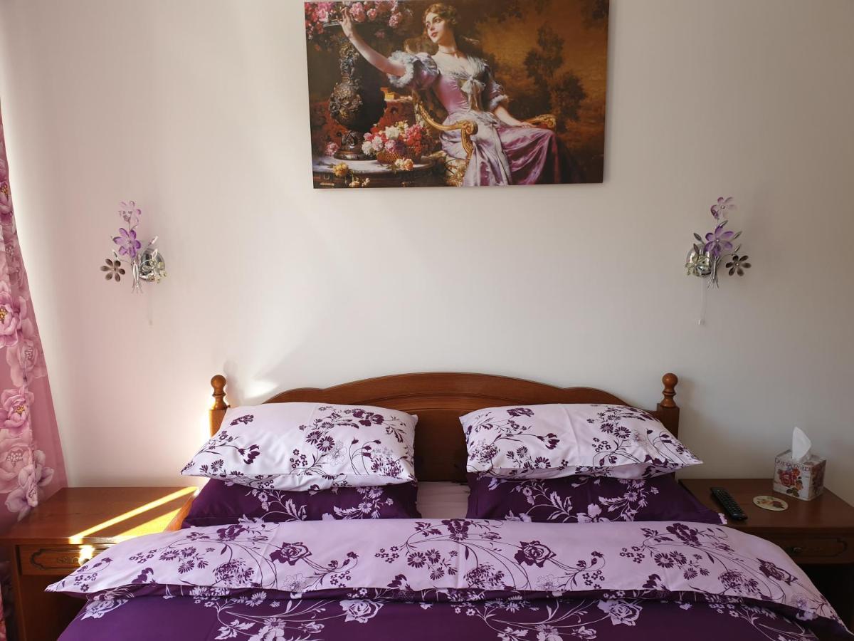 锡纳亚Sophie Apartament公寓 外观 照片