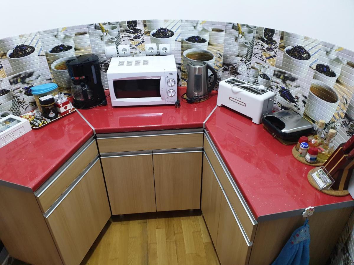 锡纳亚Sophie Apartament公寓 外观 照片