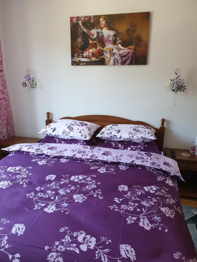 锡纳亚Sophie Apartament公寓 外观 照片