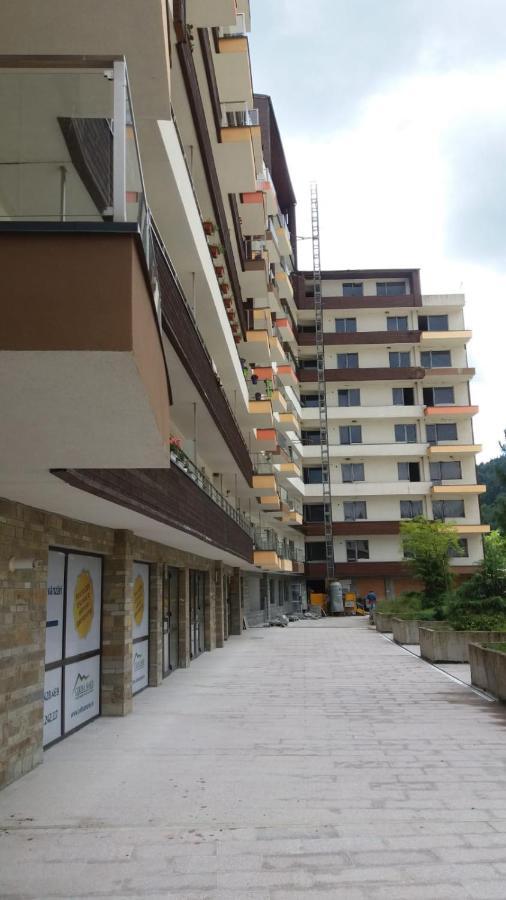 锡纳亚Sophie Apartament公寓 外观 照片