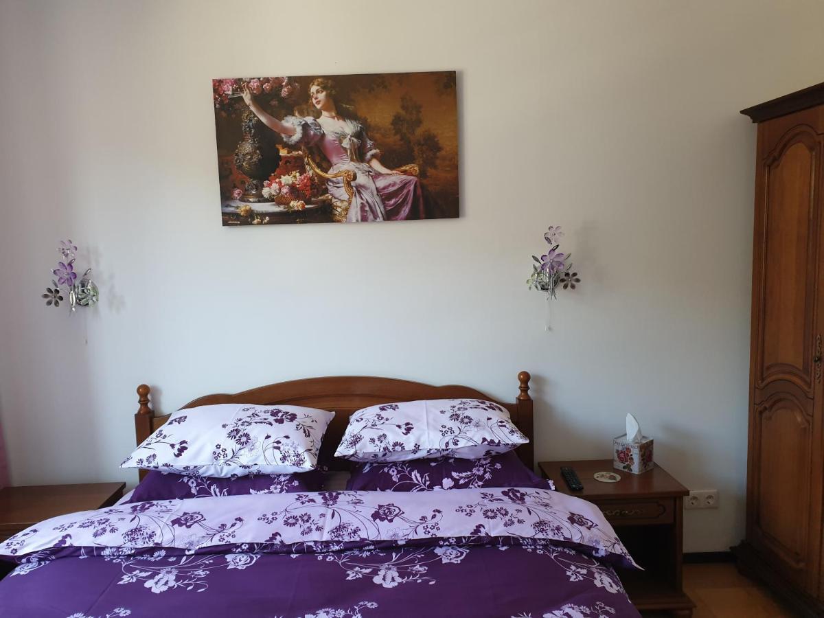 锡纳亚Sophie Apartament公寓 外观 照片