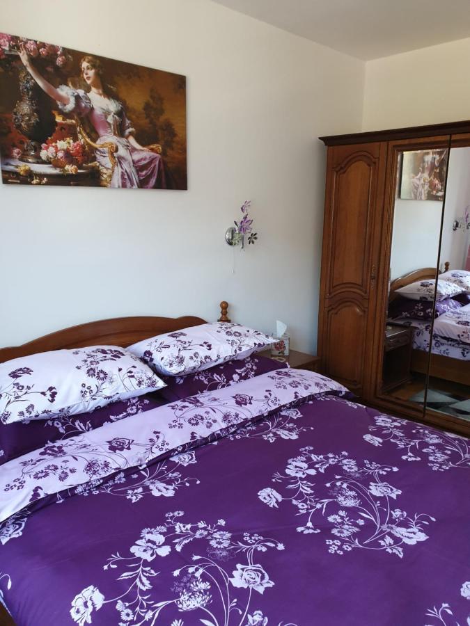 锡纳亚Sophie Apartament公寓 外观 照片