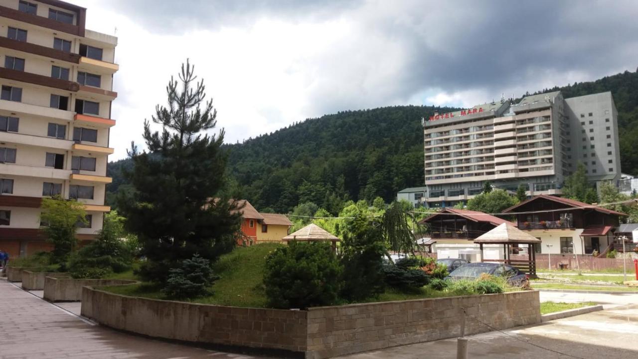 锡纳亚Sophie Apartament公寓 外观 照片