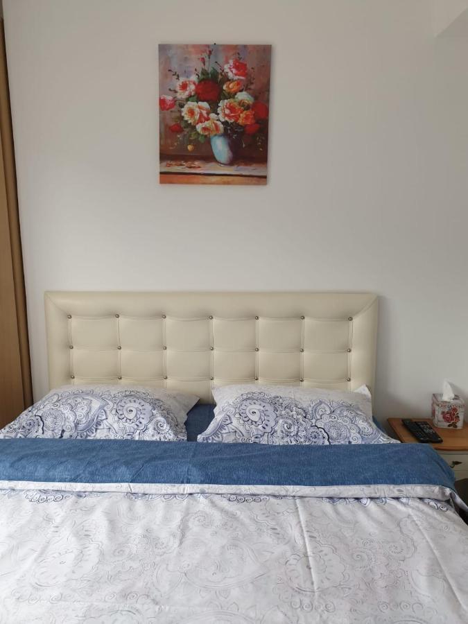 锡纳亚Sophie Apartament公寓 外观 照片
