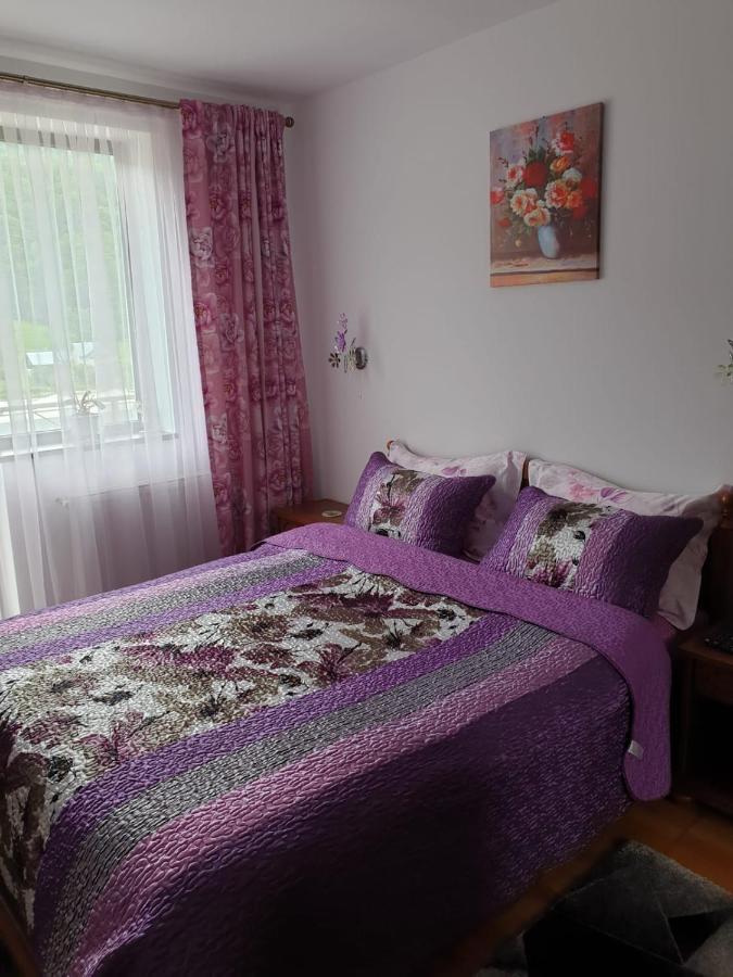锡纳亚Sophie Apartament公寓 外观 照片