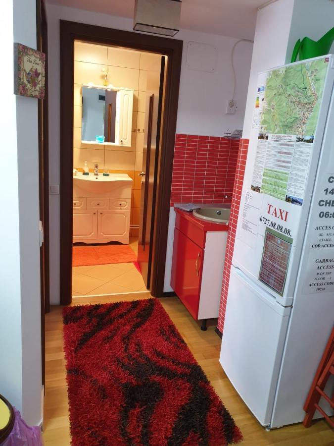 锡纳亚Sophie Apartament公寓 外观 照片
