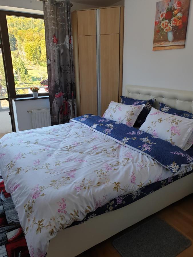 锡纳亚Sophie Apartament公寓 外观 照片