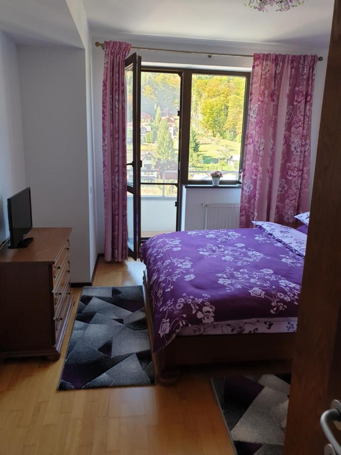 锡纳亚Sophie Apartament公寓 外观 照片