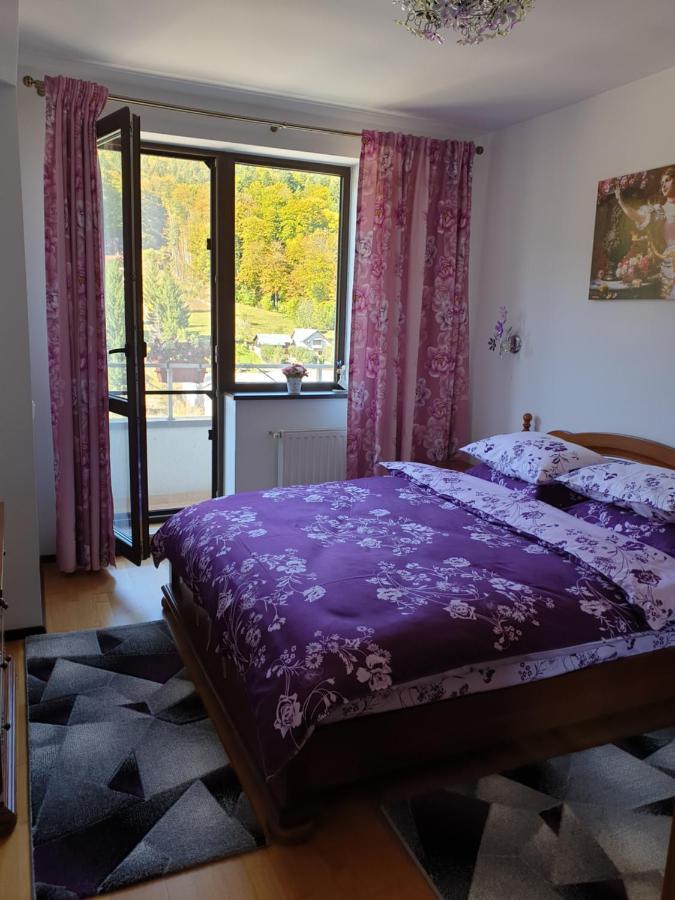 锡纳亚Sophie Apartament公寓 外观 照片