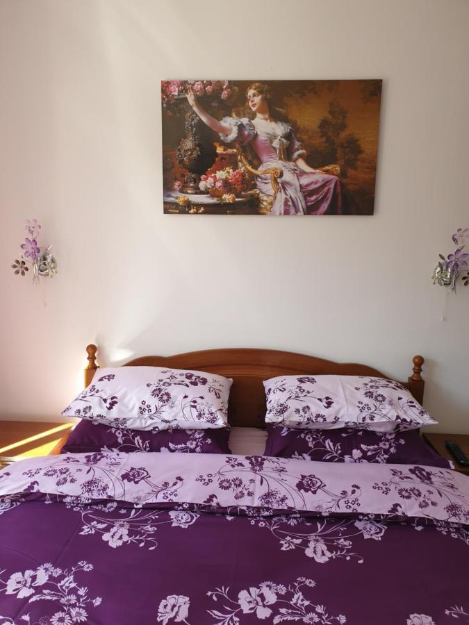 锡纳亚Sophie Apartament公寓 外观 照片