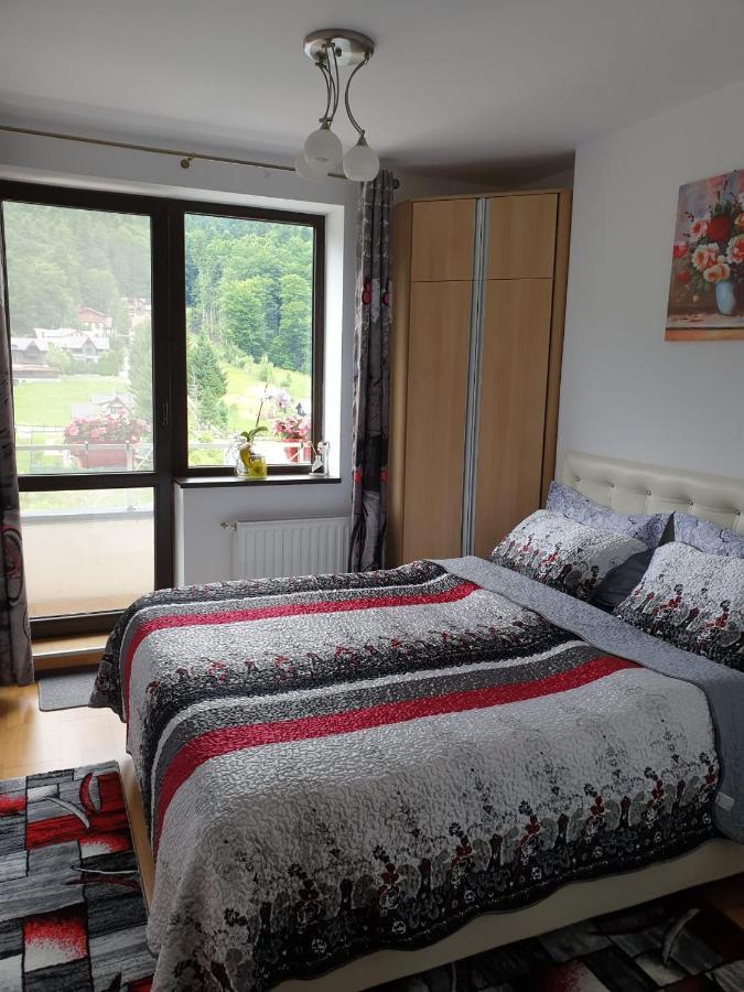 锡纳亚Sophie Apartament公寓 外观 照片
