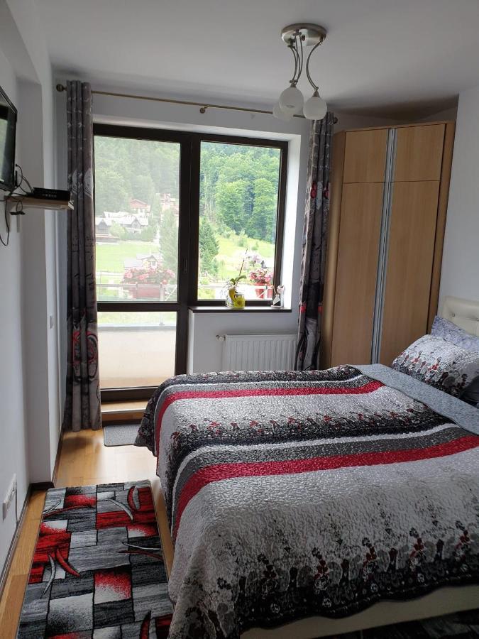 锡纳亚Sophie Apartament公寓 外观 照片