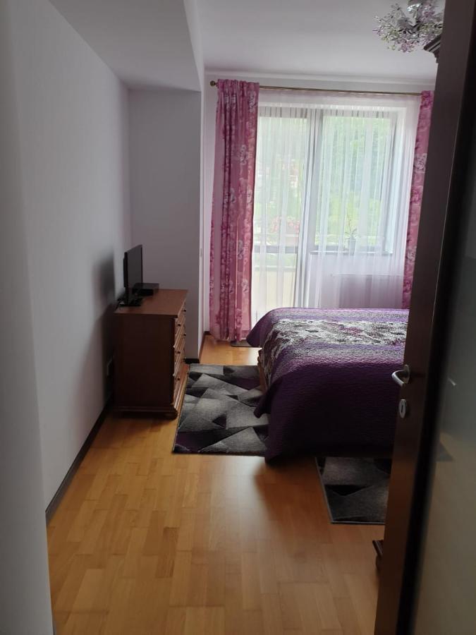 锡纳亚Sophie Apartament公寓 外观 照片