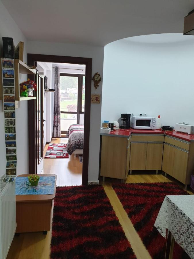 锡纳亚Sophie Apartament公寓 外观 照片