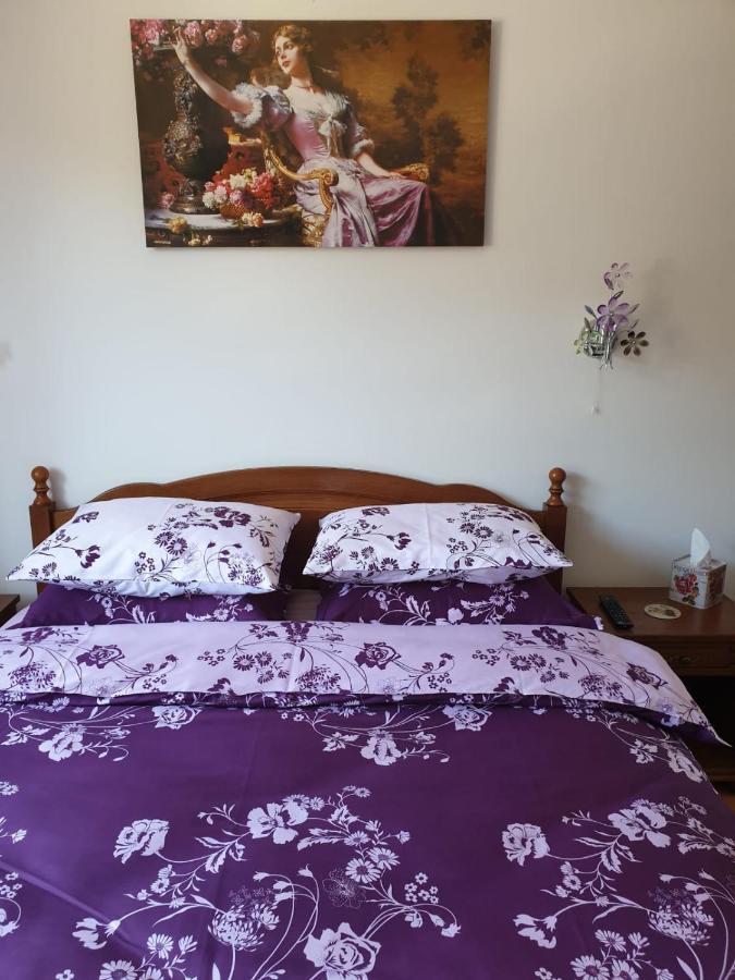 锡纳亚Sophie Apartament公寓 外观 照片