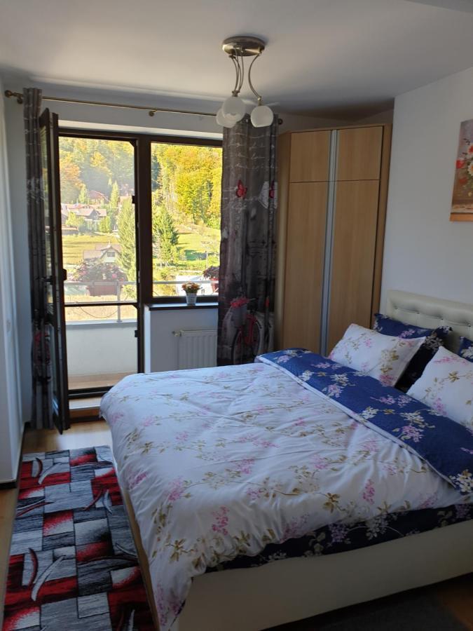 锡纳亚Sophie Apartament公寓 外观 照片