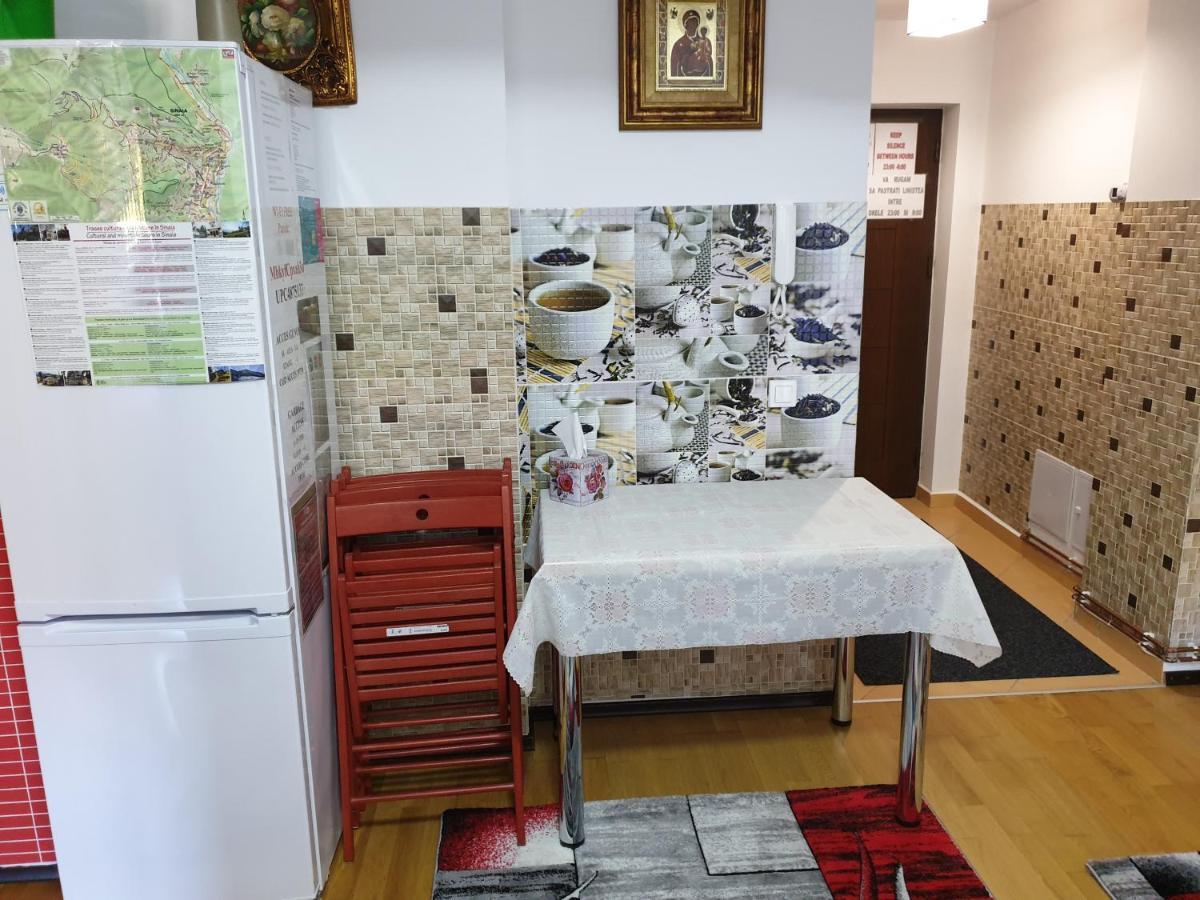 锡纳亚Sophie Apartament公寓 外观 照片