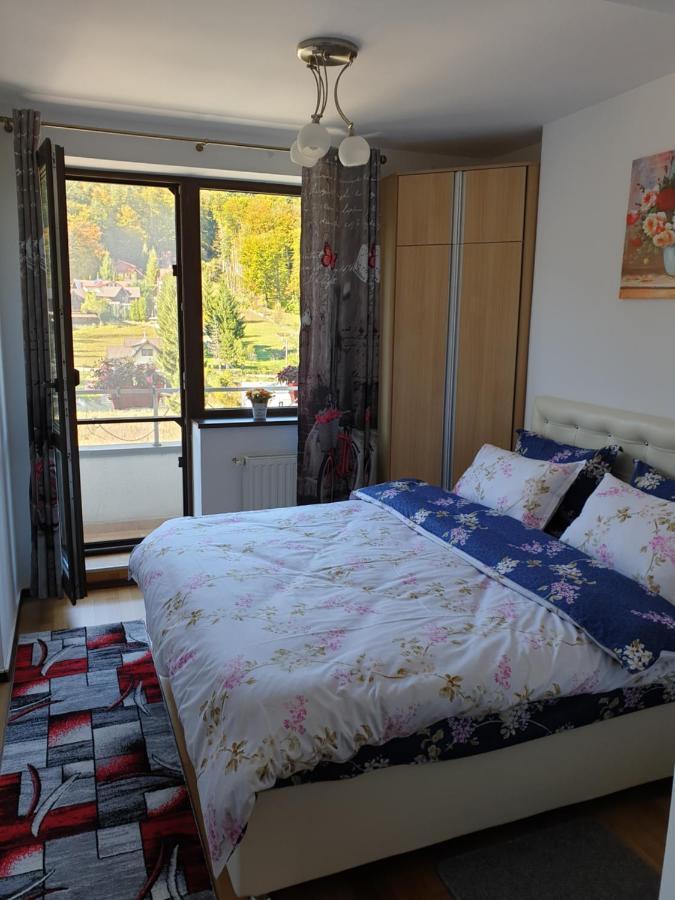 锡纳亚Sophie Apartament公寓 外观 照片