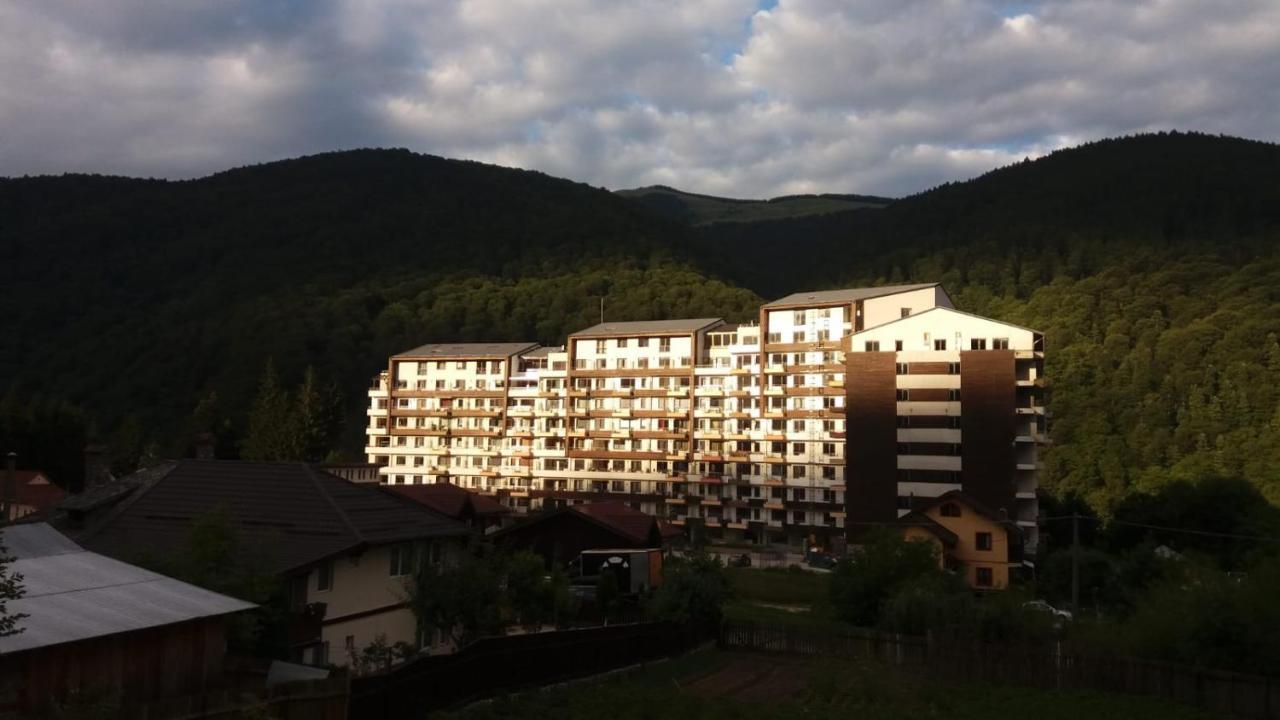 锡纳亚Sophie Apartament公寓 外观 照片