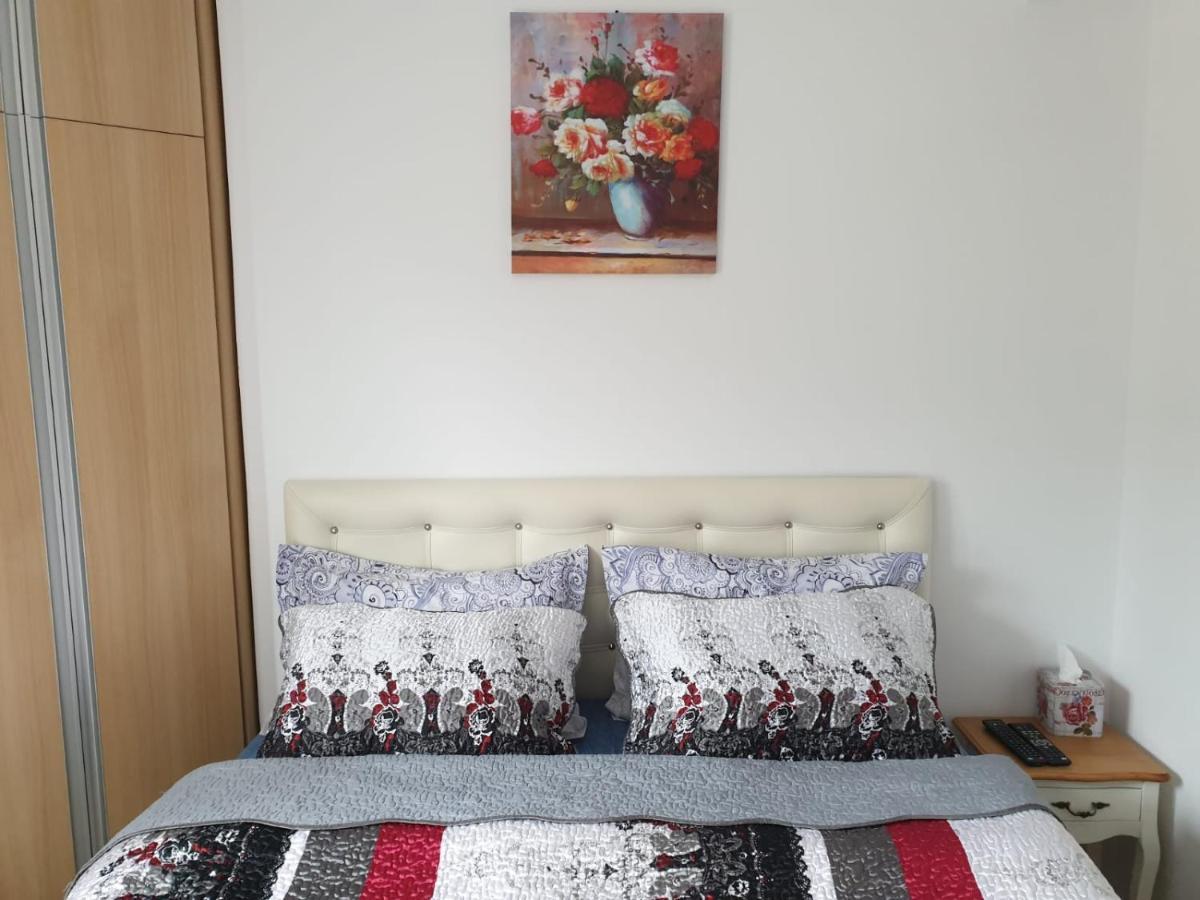 锡纳亚Sophie Apartament公寓 外观 照片