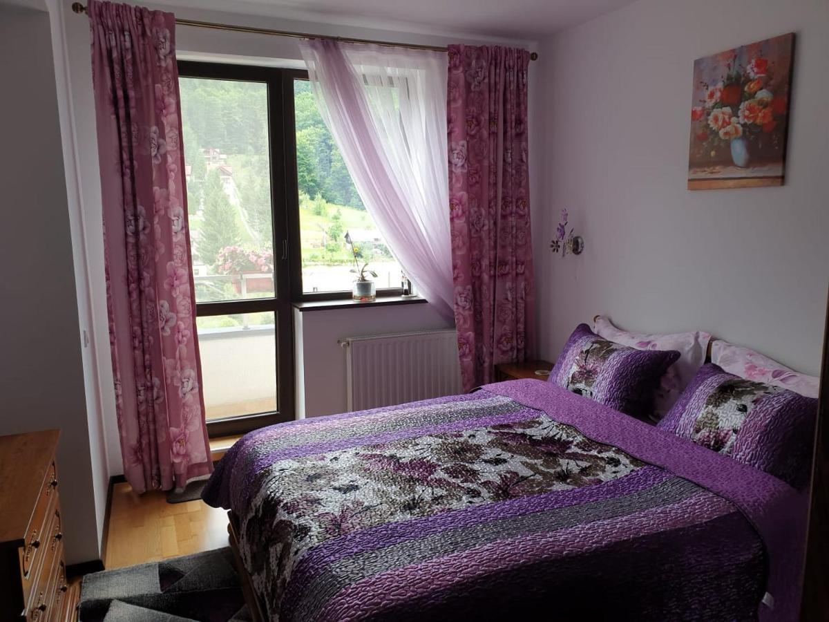 锡纳亚Sophie Apartament公寓 外观 照片